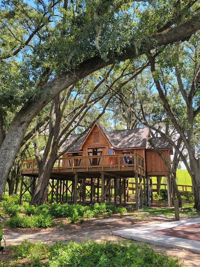Treehouse Adventure That Sparks Imagination