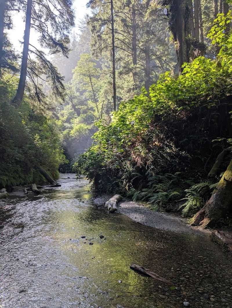 Trillium Falls: A Hidden Waterfall Worth Finding