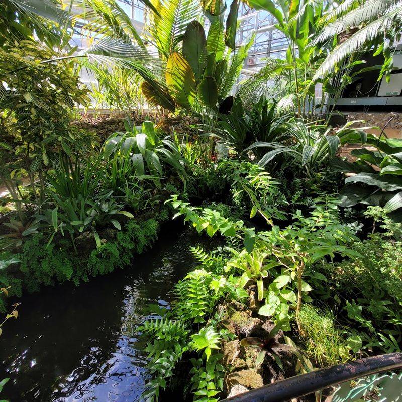 Tropical Room: A Jungle in the Midwest Tropical Room: A Jungle in the Midwest