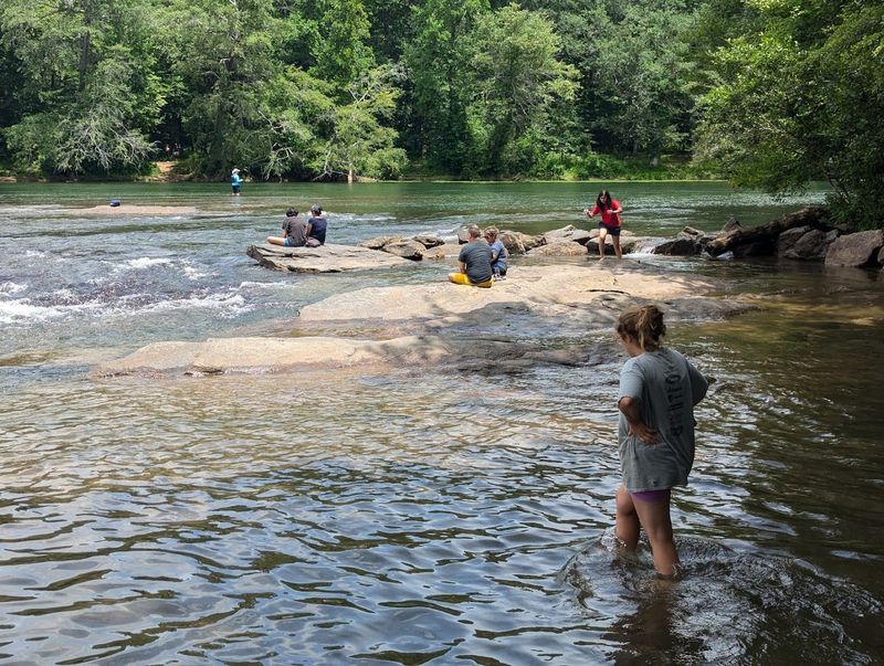 Trout Fishing in a Peaceful Setting Trout Fishing in a Peaceful Setting