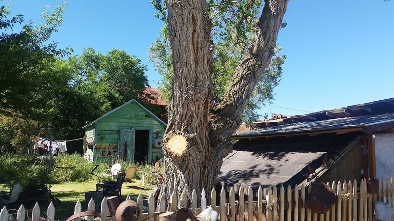 Tuscarora - Nevada