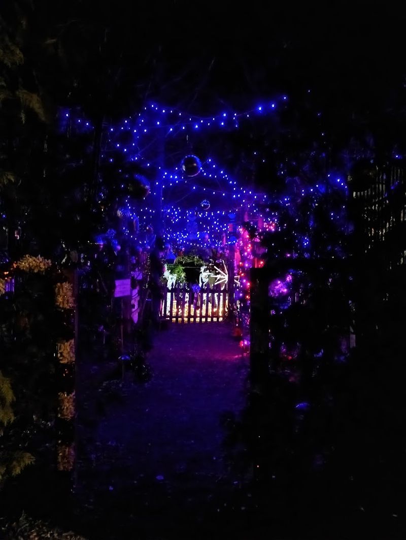 Twinkling Lights That Make It Even More Enchanting at Night Twinkling Lights That Make It Even More Enchanting at Night