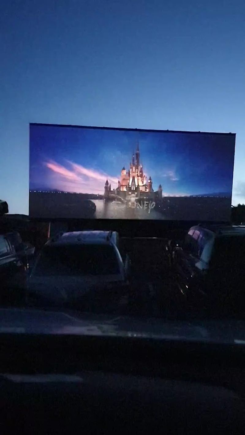 Two Movies Every Single Night — Double the Fun