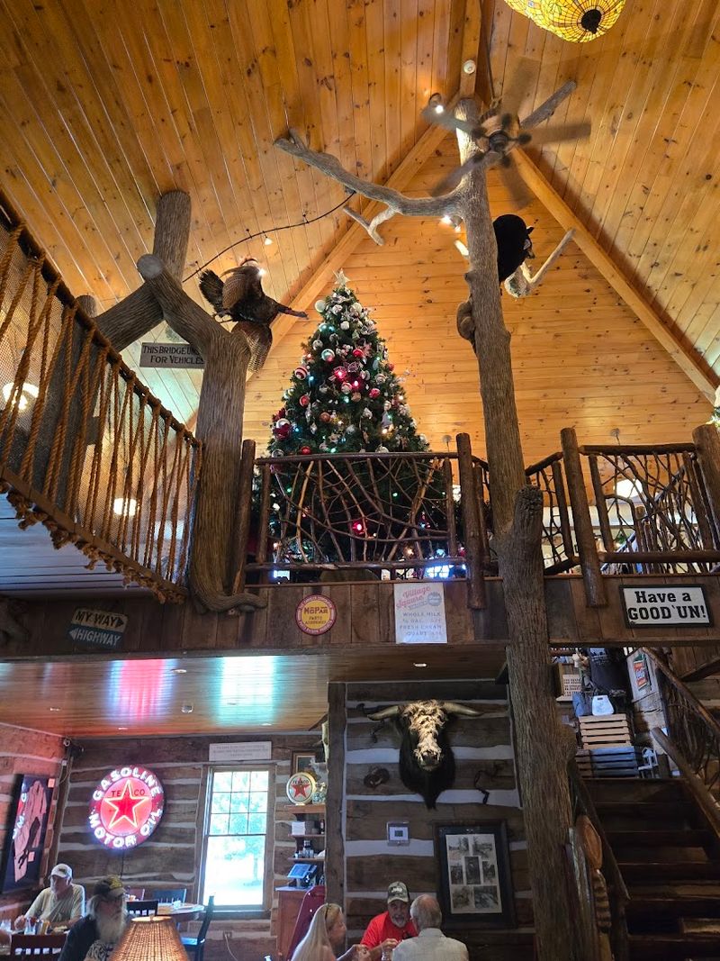Two Stories of Wild Taxidermy and Antiques