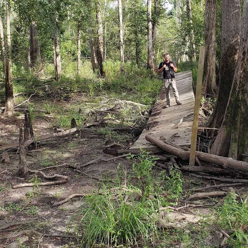 Two Wooden Footbridges You Must Cross First