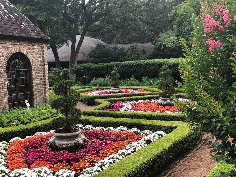 Vibrant Seasonal Blooms That Change With Every Visit