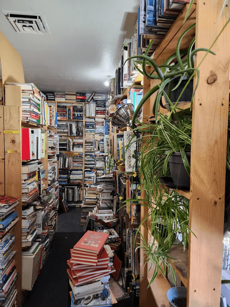 Vintage Book and Record Shops