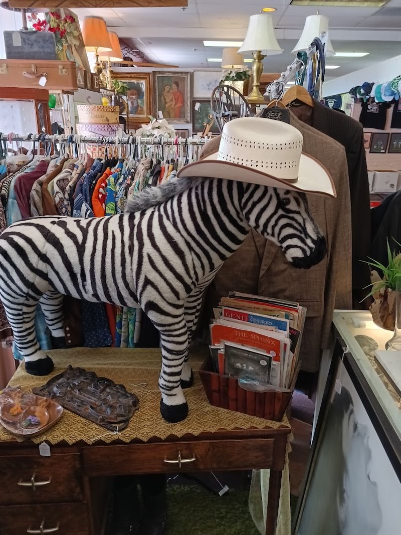 Vintage Clothing That Turns Heads and Tells Stories