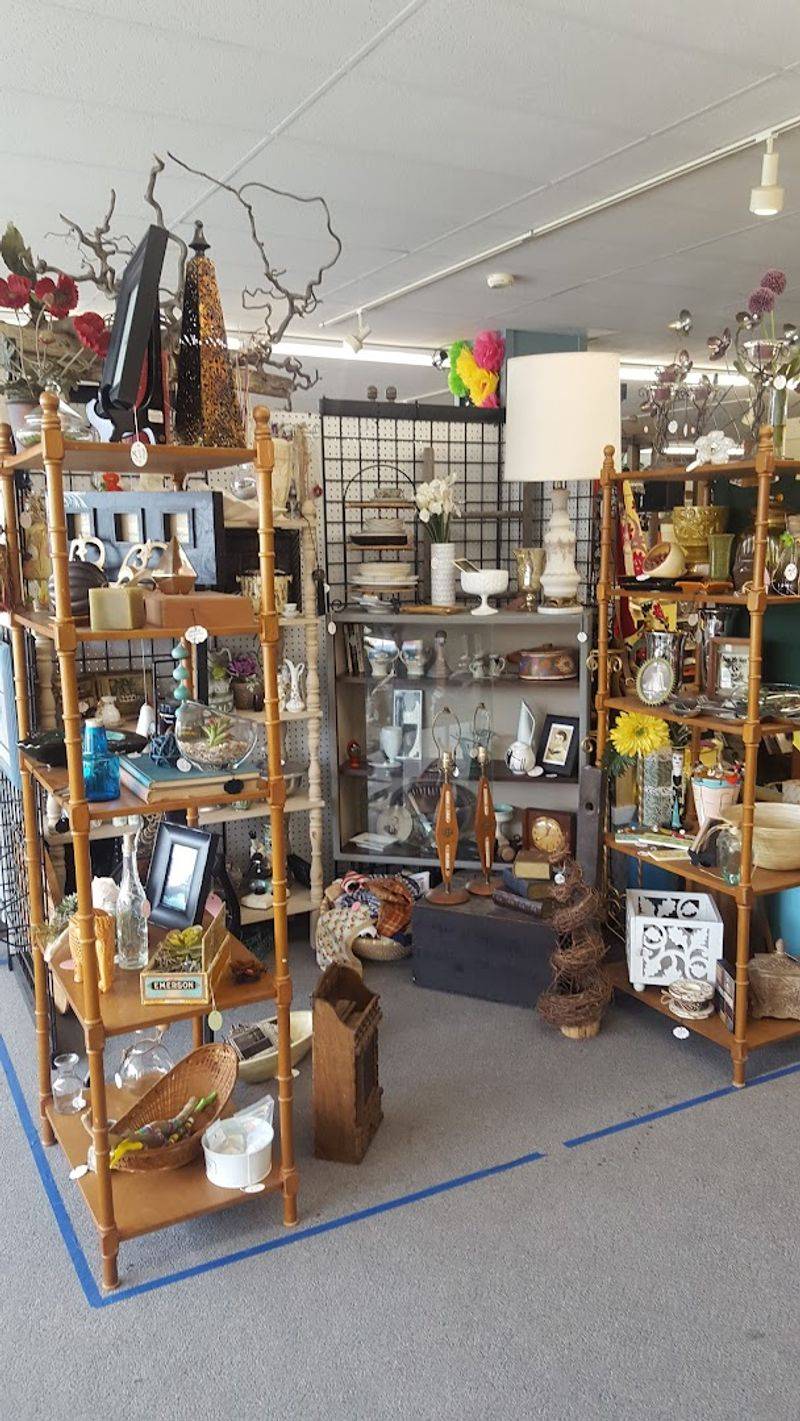 Vintage Finds That Take You Back in Time