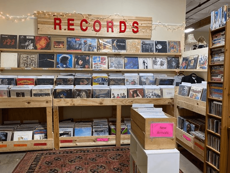 Vinyl Records and Music Lovers Will Be Happy