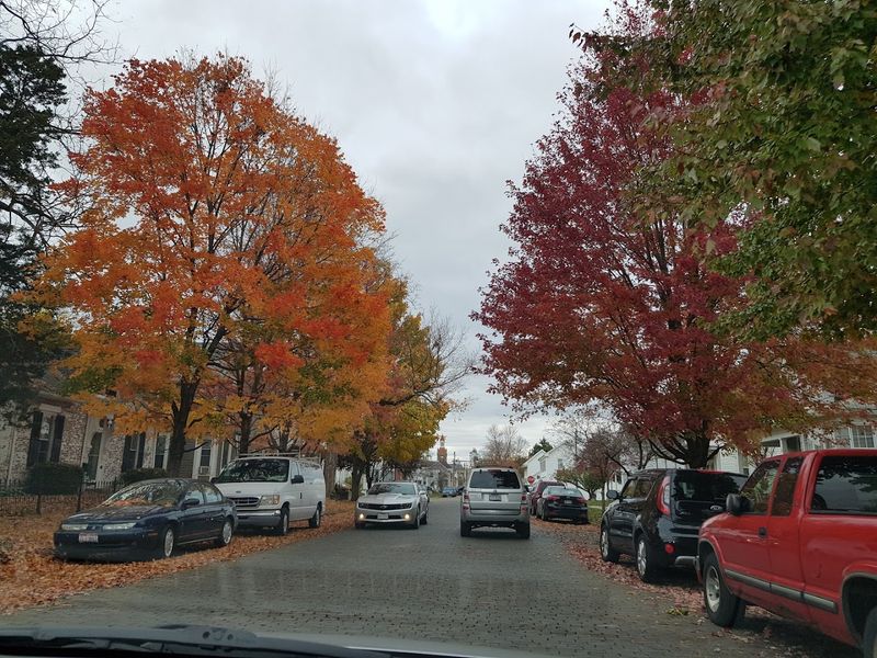 Visiting Circleville: Tips for Planning Your Pumpkin-Themed Trip