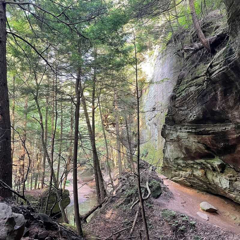 Visitor Reviews and Overall Trail Rating Visitor Reviews and Overall Trail Rating