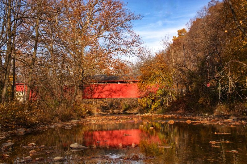 Walking Trails That Feel Like a Nature Reset Walking Trails That Feel Like a Nature Reset