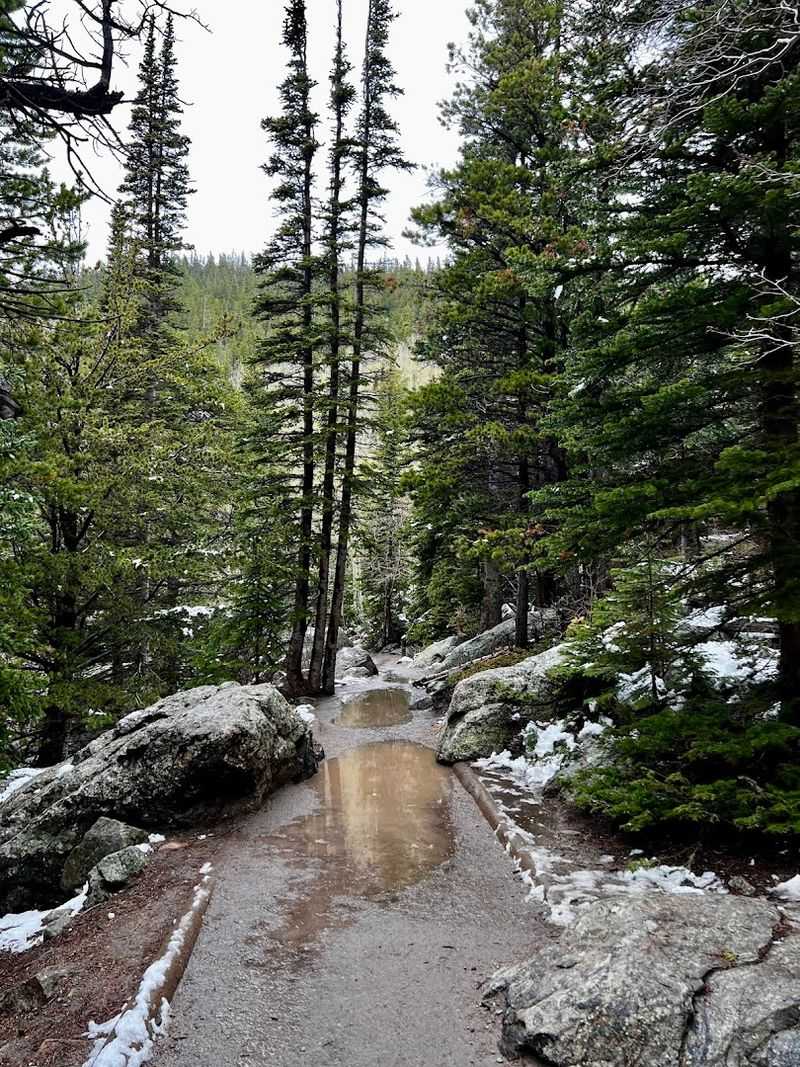 Walking the 0.8-Mile Loop Around Bear Lake