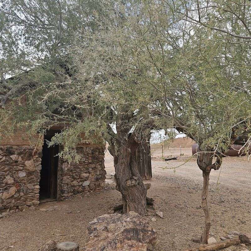 Wandering Through the Original Adobe Buildings