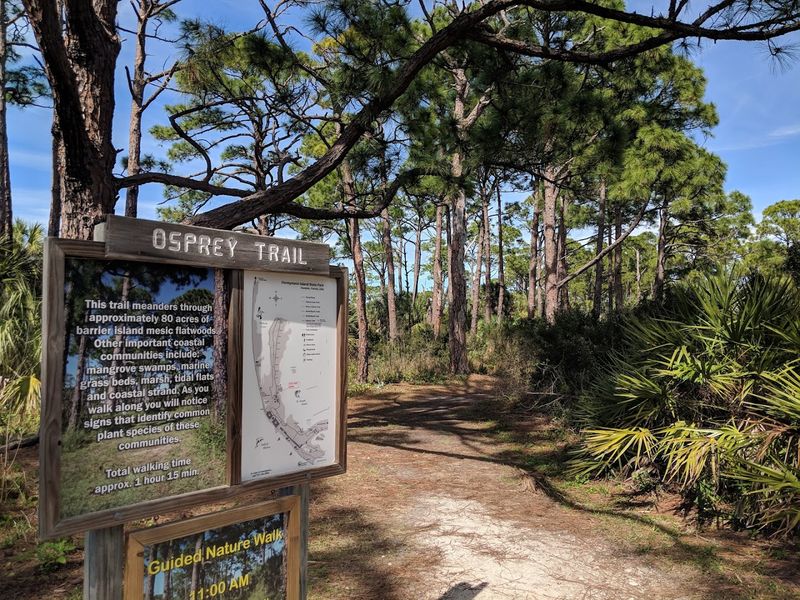 Watching Wildlife on the Osprey Trail