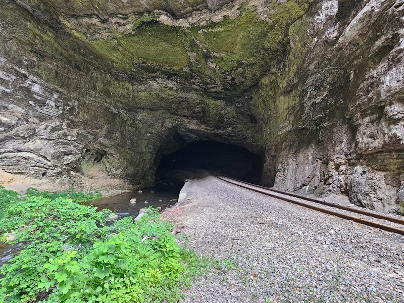 Watching a Real Freight Train Pass Through the Tunnel