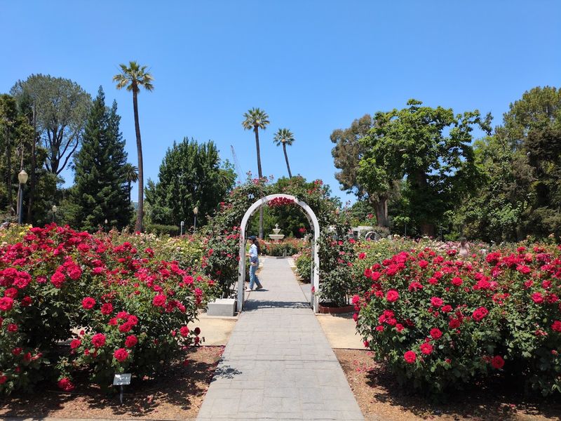 Weddings and Special Events That Make Memories Here