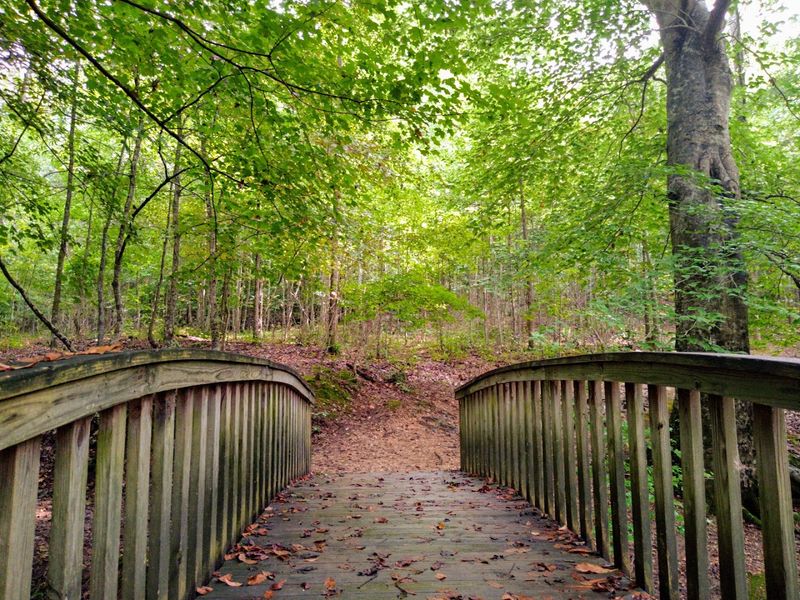 Well-Maintained Hiking Trails for Every Skill Level