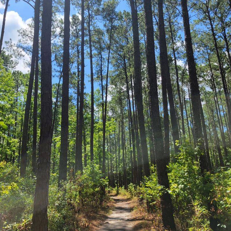 Well-Maintained Trails for All Skill Levels