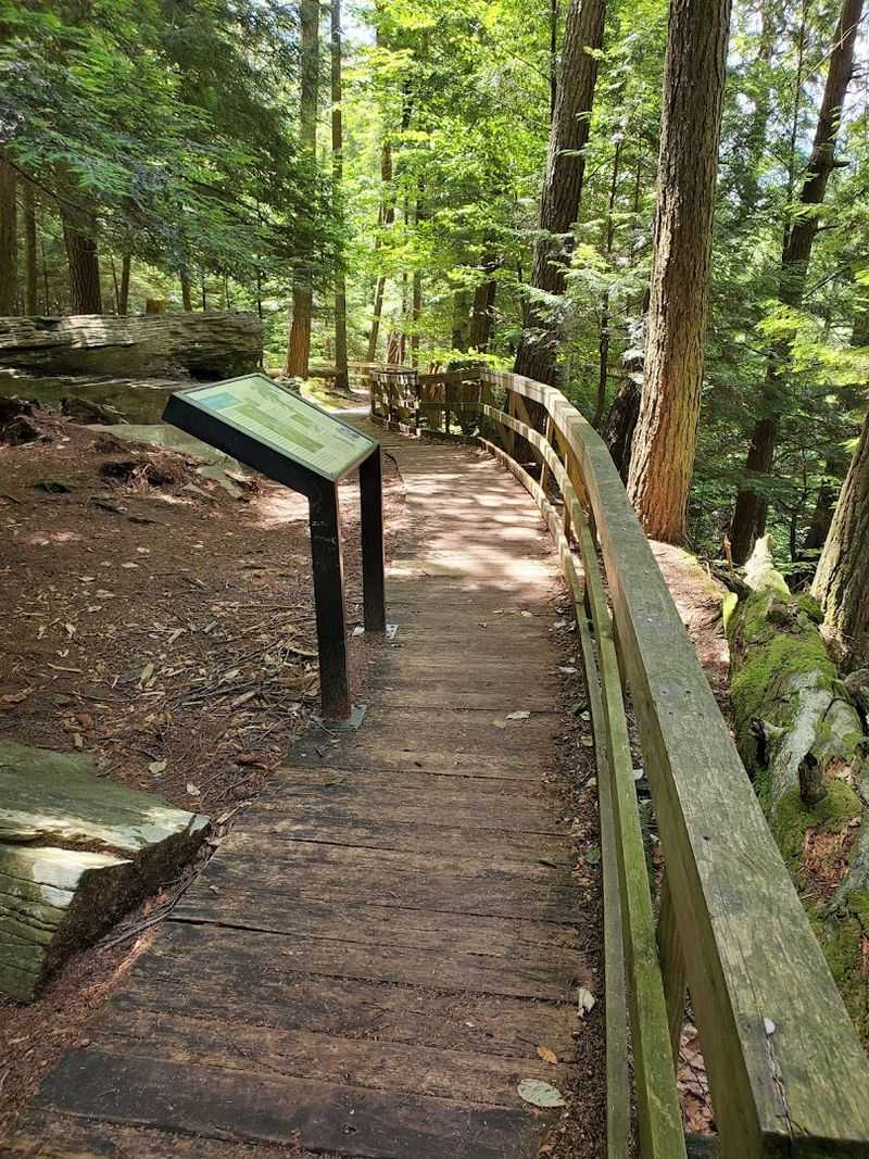 Well-Marked Trails Suitable for All Skill Levels