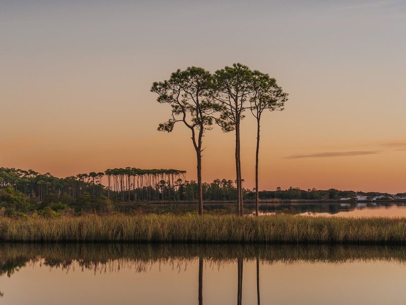 Western Lake: A Rare Coastal Dune Lake Found Almost Nowhere Else on Earth