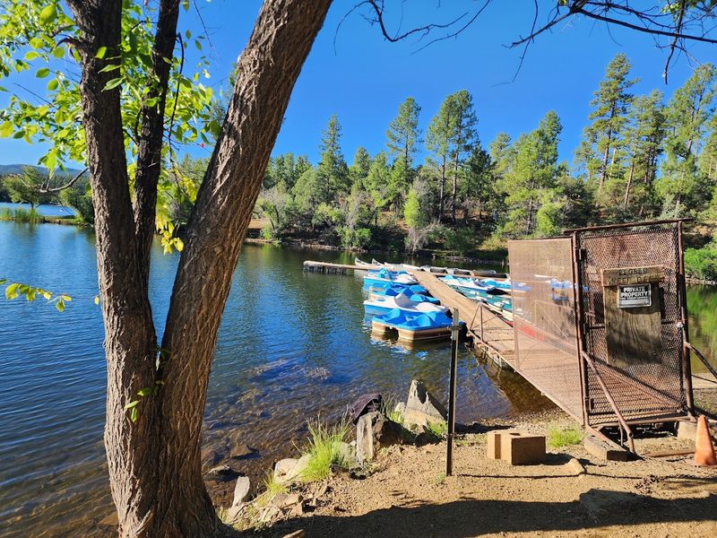 What the Lynx Lake Cafe and Marina Offers Visitors