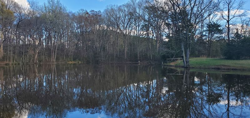 What the Ponds Look Like Up Close