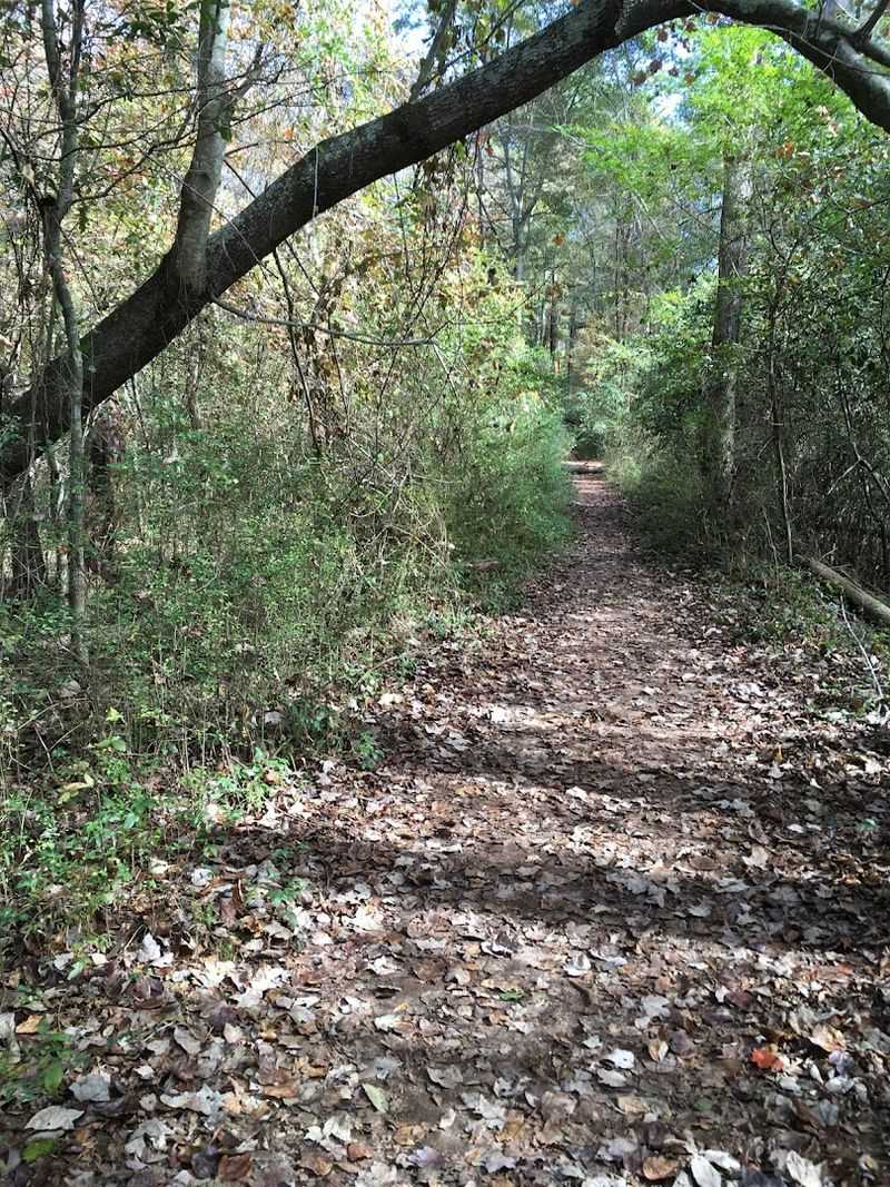 What the Trail Actually Looks Like