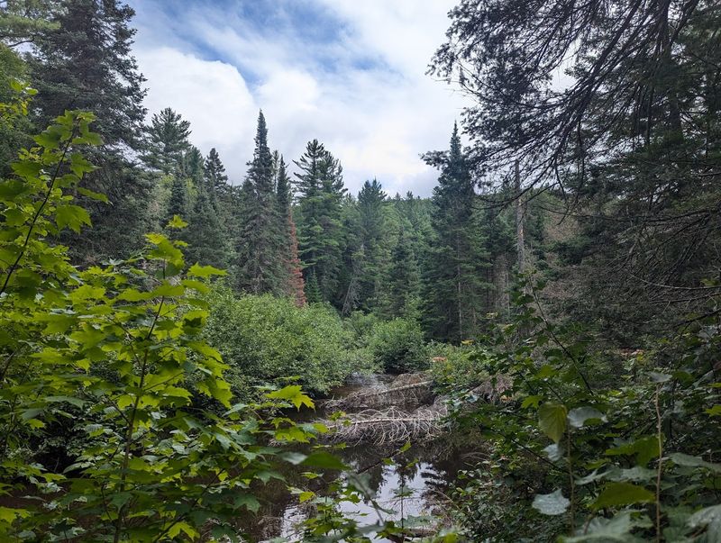 What to Pack for Your Pinnacle Falls Hike