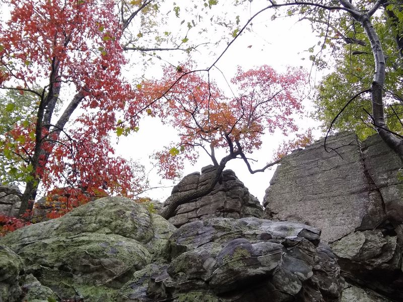 What to Pack for a Day Hike at Rocktown
