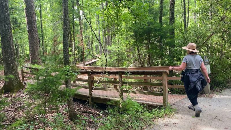 What to Pack for a Smart, Comfortable Hike