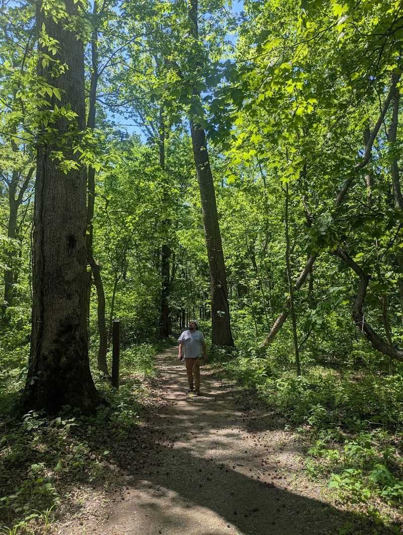 White Oak Trail: A Walk You Will Never Forget