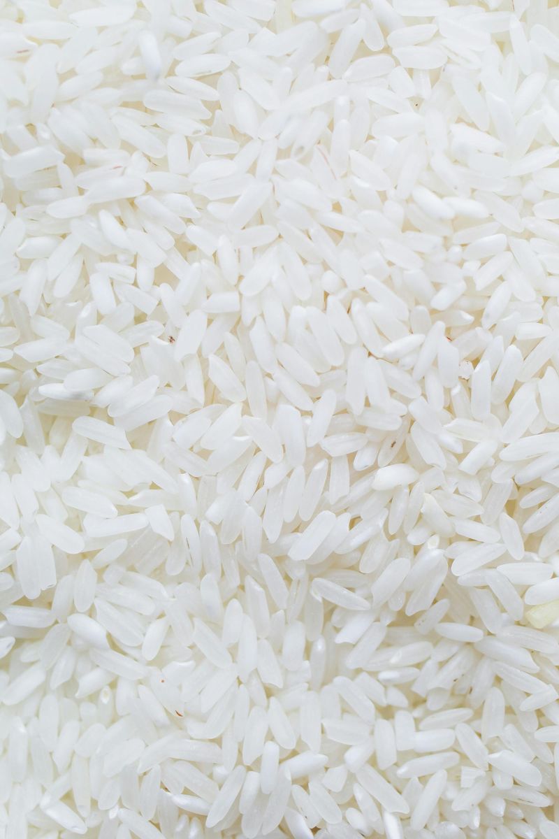White Rice White Rice