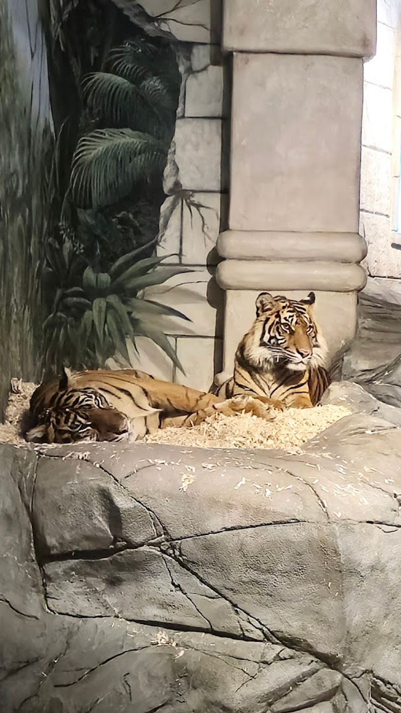 White Tigers and Unexpected Surprises Beyond the Menu