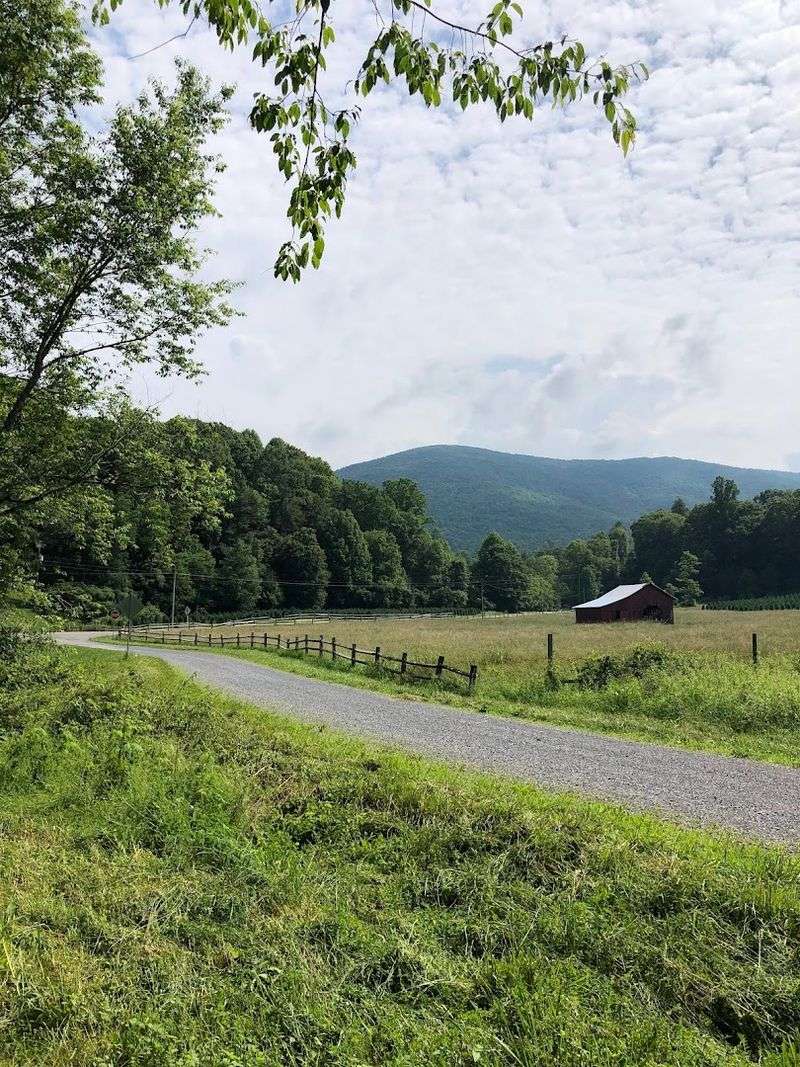Whitetop Mountain