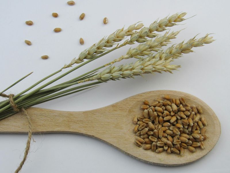 Whole Grain Whole Grain