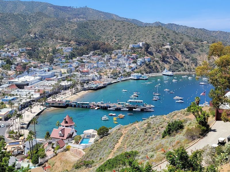 Why Avalon Feels Like a Greek Island Without the Airfare