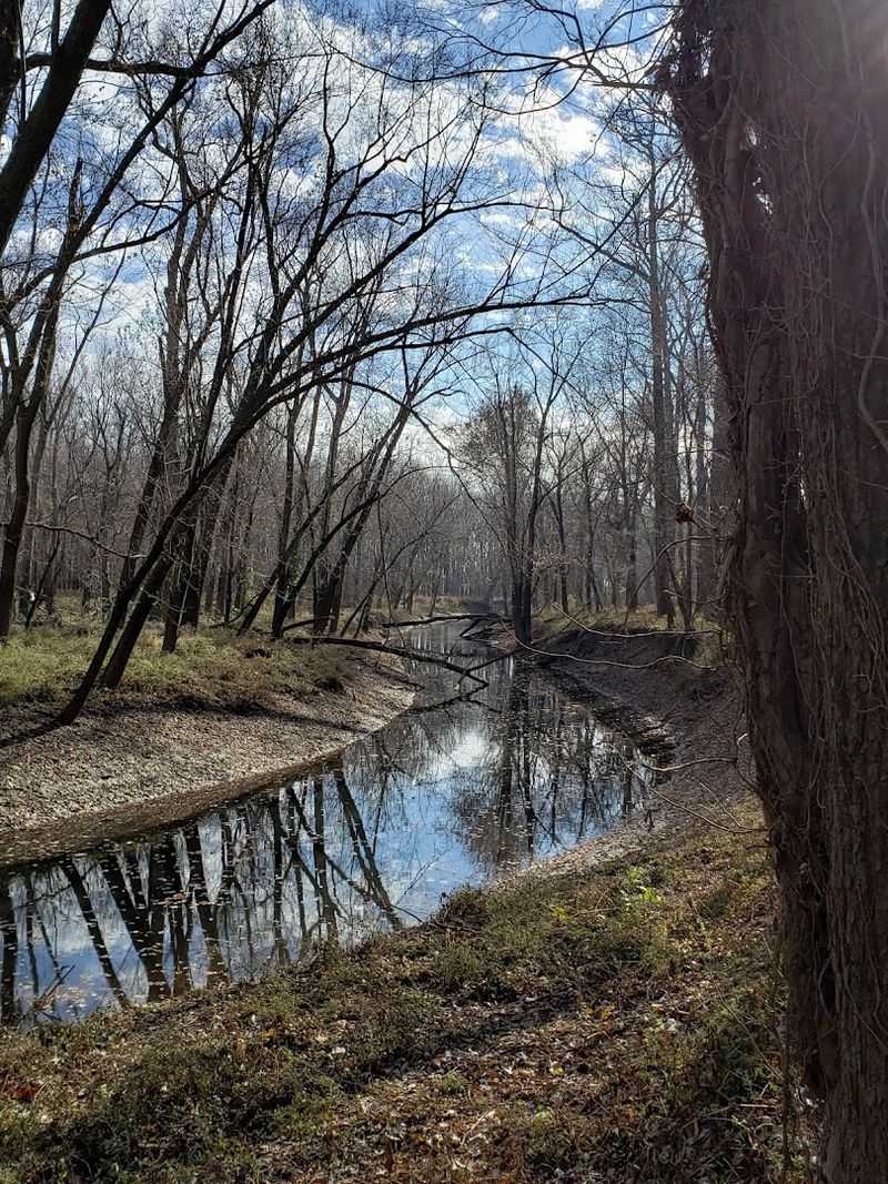 Why Beall Woods Deserves a Spot on Your Illinois Bucket List
