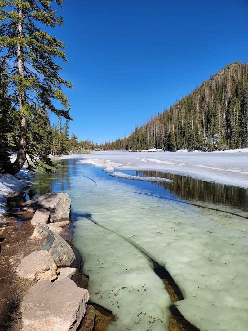 Why Bear Lake Trail Earns Its 4.8-Star Rating