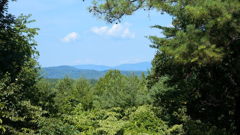 Why Carter Overlook Keeps Bringing People Back Why Carter Overlook Keeps Bringing People Back
