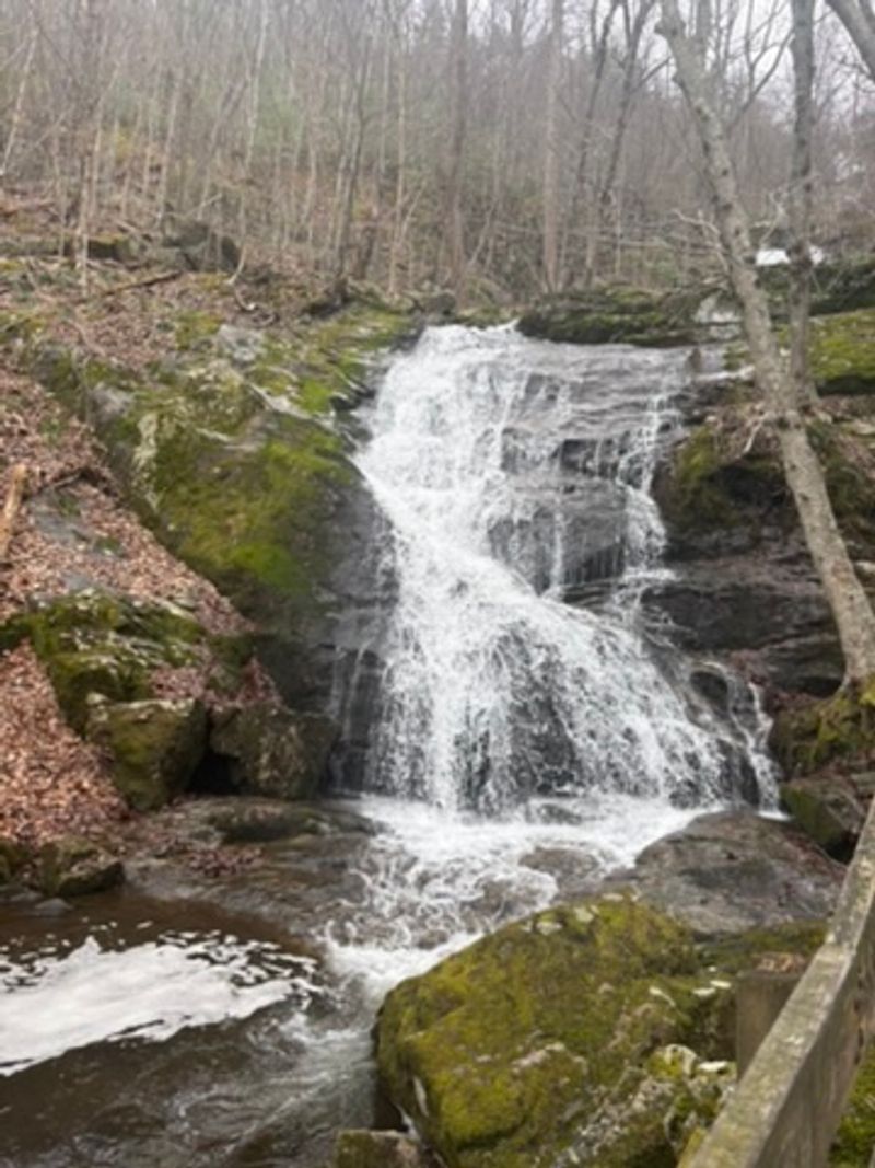 Why Crabtree Falls Stays in Your Memory Why Crabtree Falls Stays in Your Memory