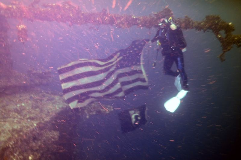 Why Divers Keep Coming Back to Niuhi Year After Year