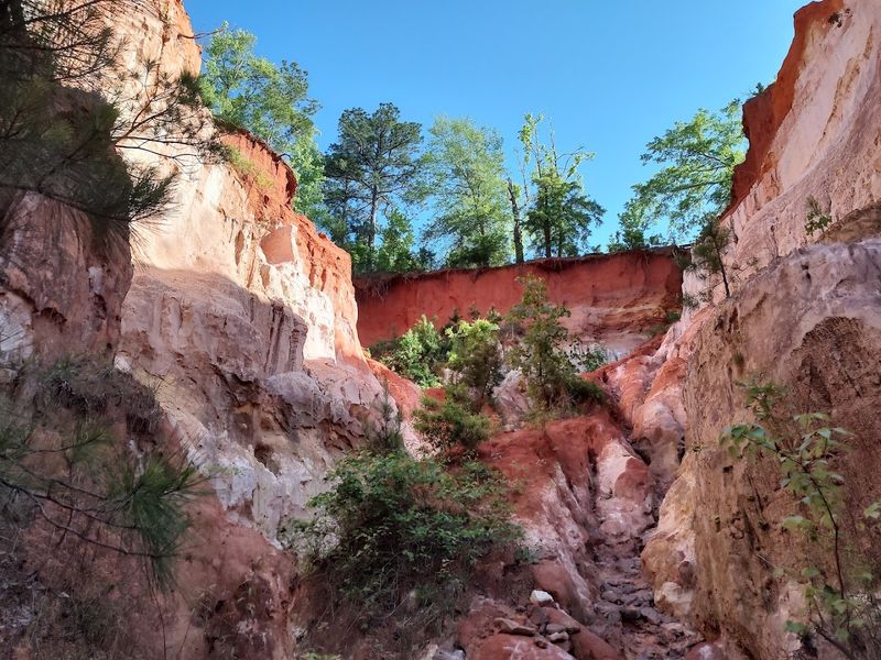 Why Georgia's Little Grand Canyon Belongs on Every Bucket List Why Georgia's Little Grand Canyon Belongs on Every Bucket List