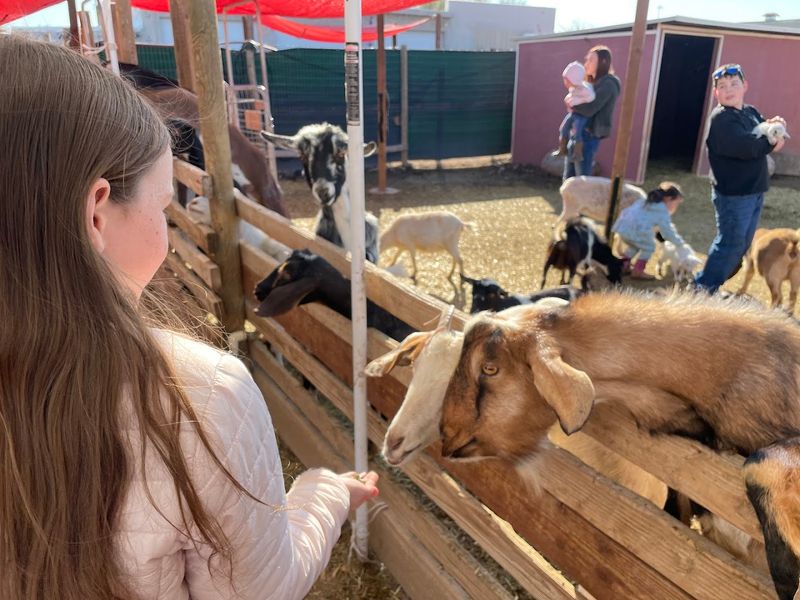 Why Ghost Ranch Exotics Belongs on Your Arizona Bucket List