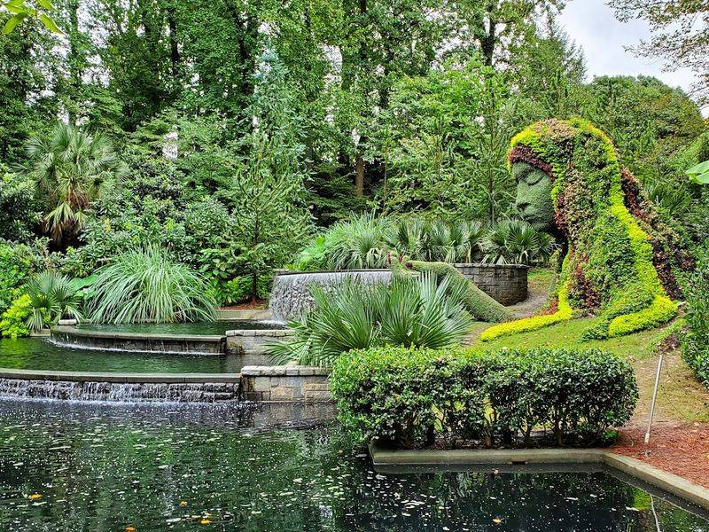 Why People Keep Coming Back: The Garden That Never Gets Old