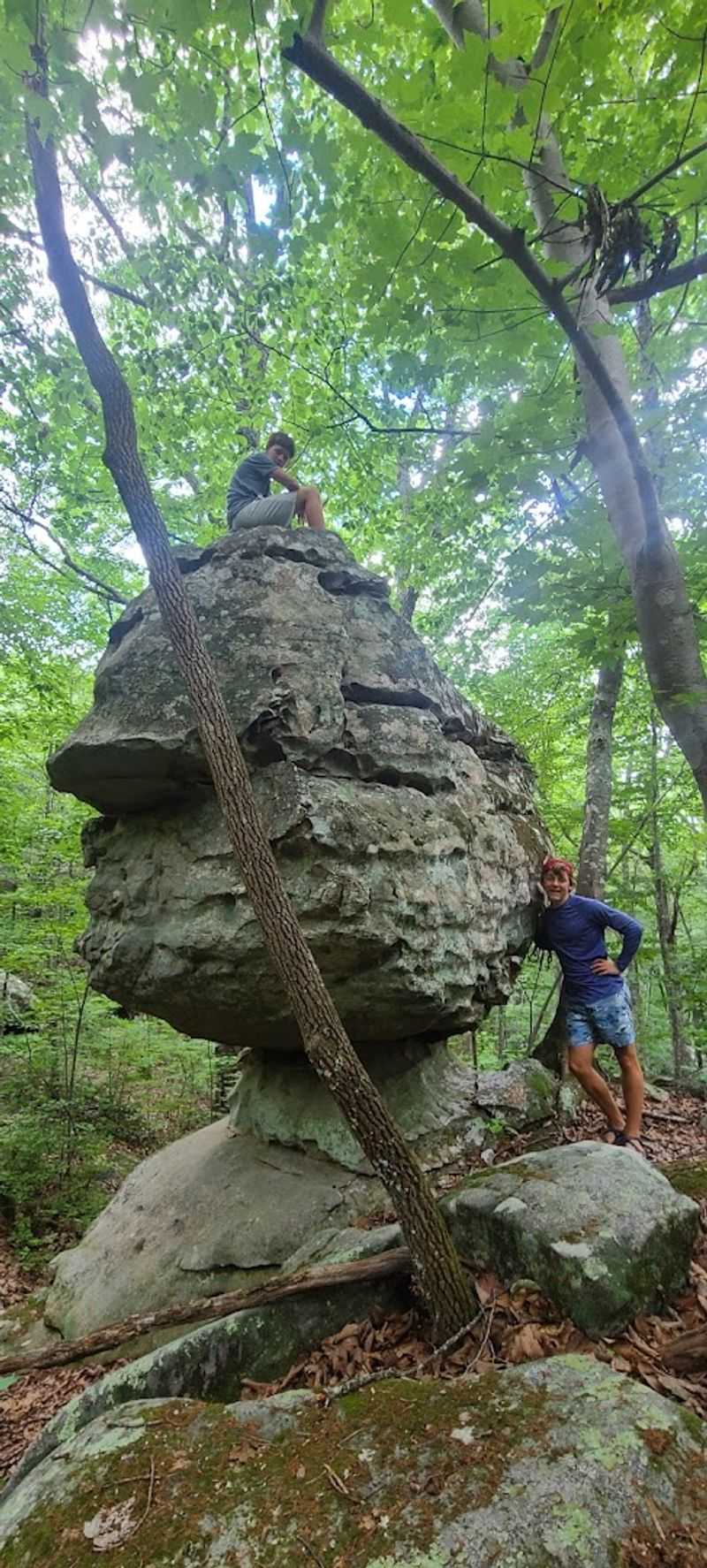 Why Rocktown Deserves a Spot on Every Georgia Hiker's Bucket List