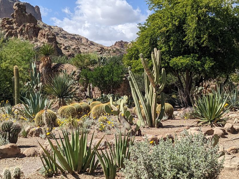 Why This Desert Gem Deserves a Permanent Spot on Your Bucket List