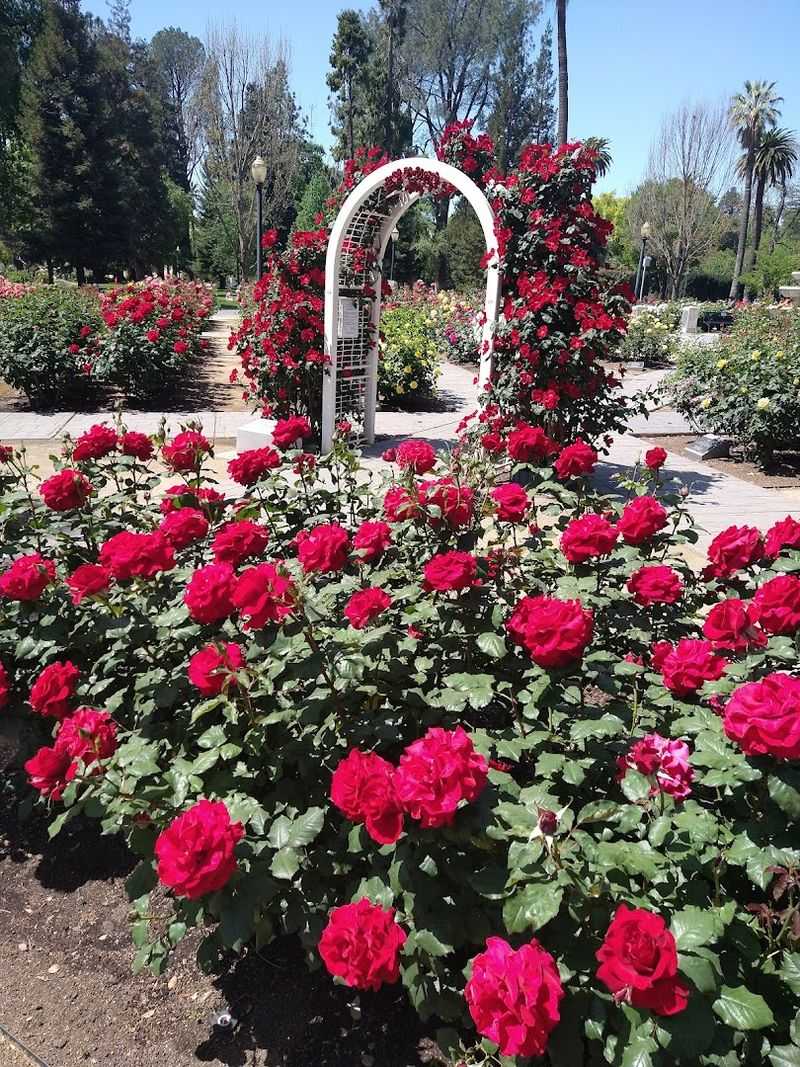 Why This Garden Deserves a Top Spot on Your Sacramento Bucket List