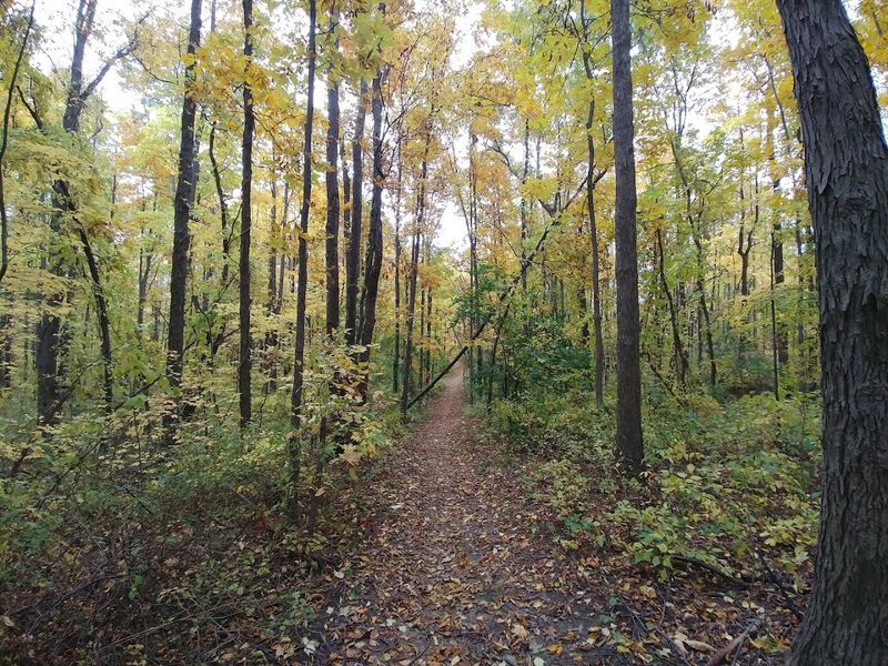 Why This Hidden Gem Deserves a Spot on Your Michigan Bucket List